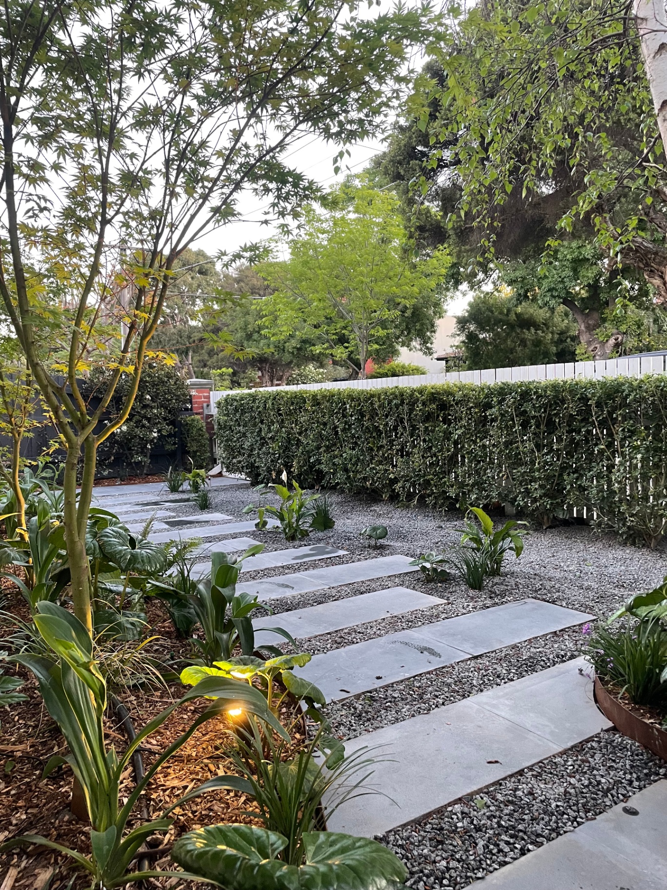 Lock St Front Garden — additional view