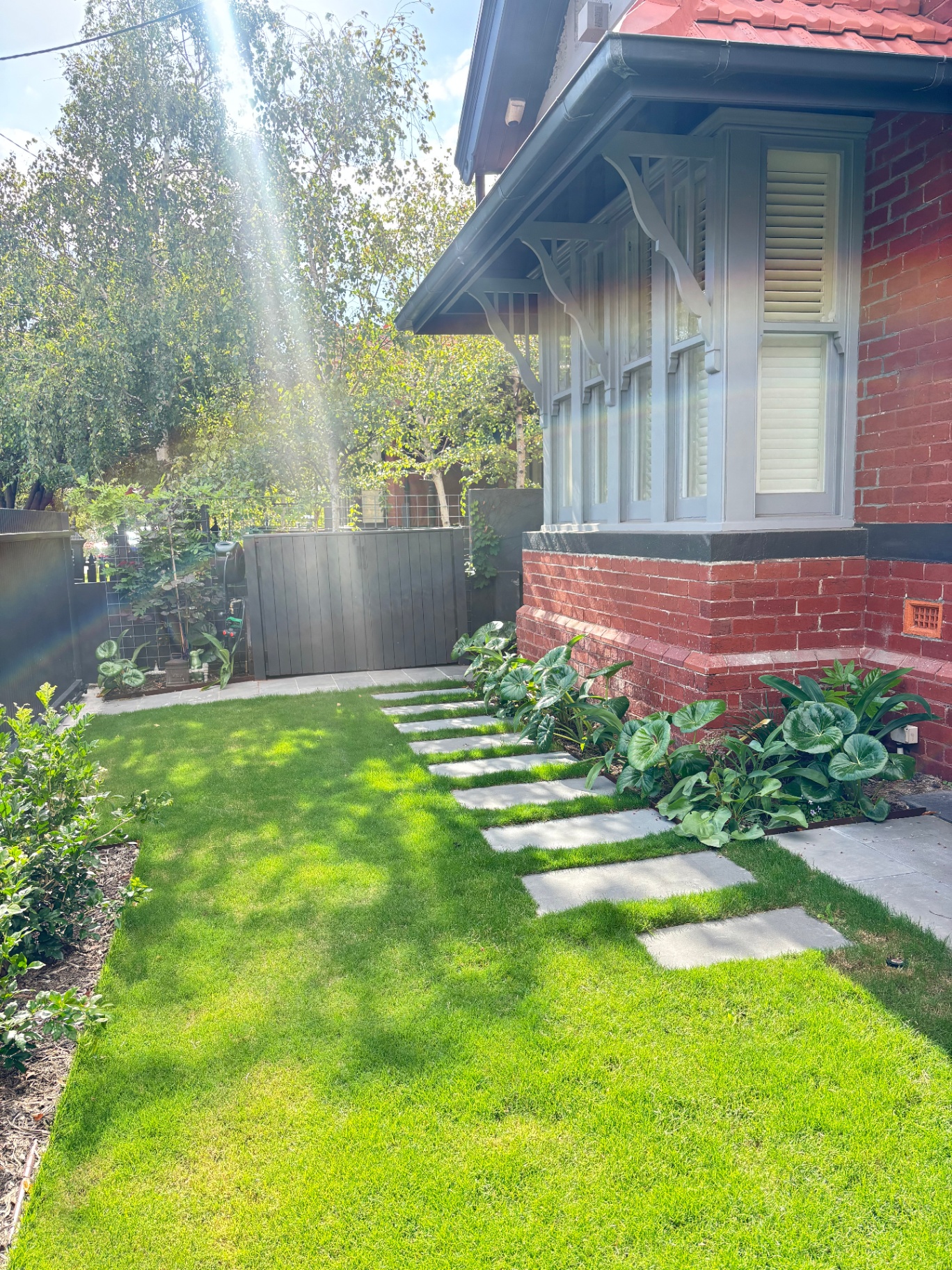 Patterson St Front Garden — after