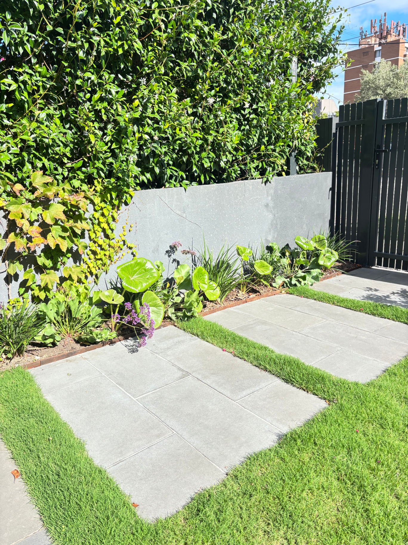 Patterson St Front Garden — additional view